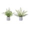Melrose Artificial Potted Variegated Fern plants - 14.5" - Set of 2